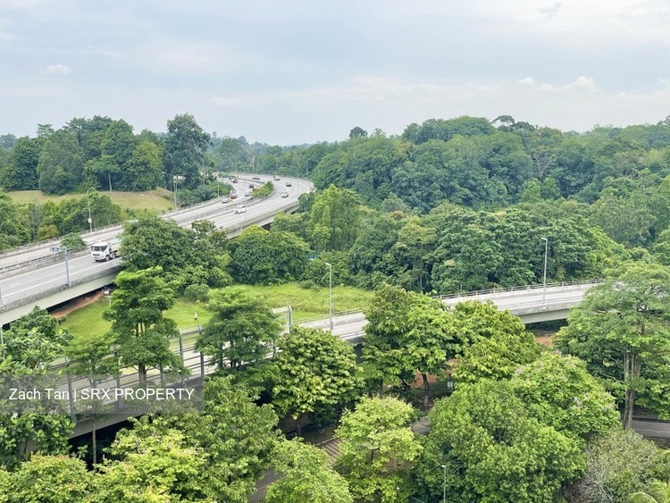 Blk 478 Segar Gardens (Bukit Panjang), HDB Executive #502063331